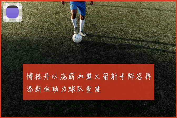 博格丹以底薪加盟火箭射手阵容再添新血助力球队重建