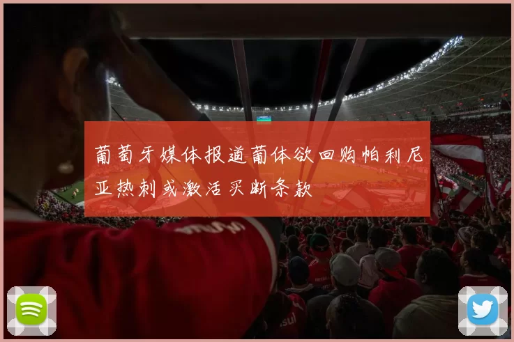 葡萄牙媒体报道葡体欲回购帕利尼亚热刺或激活买断条款